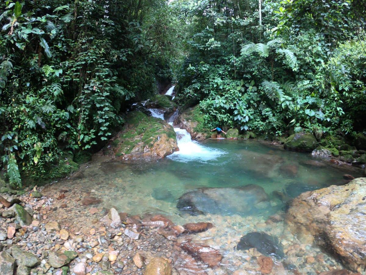 Posada Kauai Mocoa ภายนอก รูปภาพ